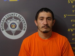 Mugshot of ALFARO, NIGHER JR 